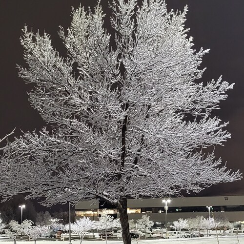 Jesus follower, family of campers, MAGA, Constitution.