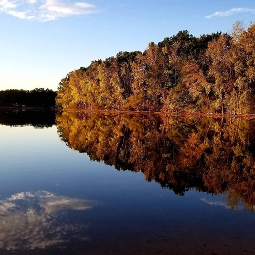 Christian Conservative Wife, and Mom