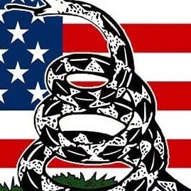 MAGA, FJB🇺🇸🍊 God Bless America!