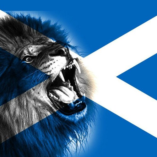 ScottishTravler 

when is everyone going to wake up about this covid bulls**t ?