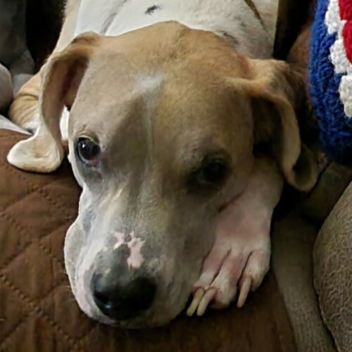 No one special.. Have college degree in business and enjoy writing. Currently seeking an Agent but it is a long process.