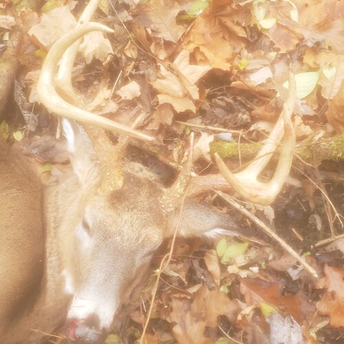 🇺🇸🍊🍊🍊🇺🇸
Nuff said!
Follow me and I'll follow you back.