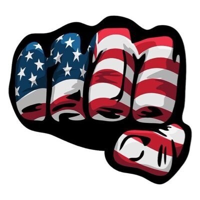 Christian conservative who loves Jesus and the America as set forth by the founders.