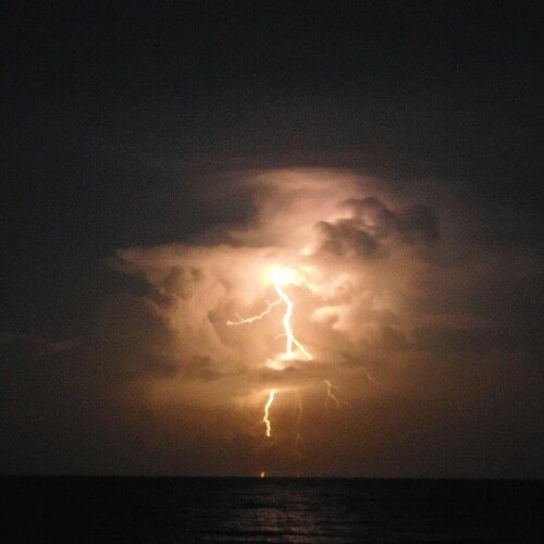 Ordinary American, love football, dogs, and this great country.