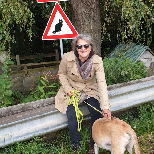 ungeimpft 🇩🇪
unvaccinated 🇩🇪