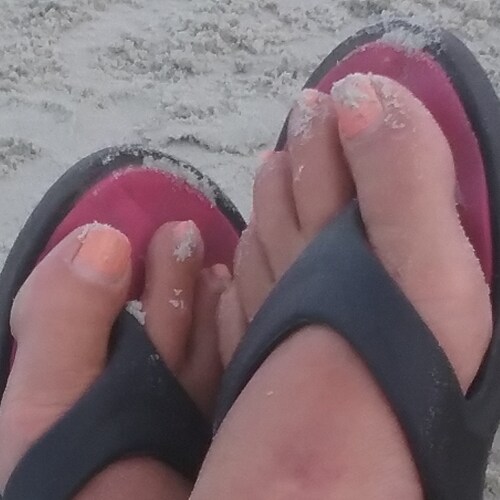 🇺🇸🕊 🍊Conservative mother widow Maga Trump 45 Follower 🍊🇺🇸🕊