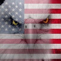 AMERICA FIRST
#1A #2A #WhitetailHunter #WildTurkeyHunter #Pureblood #TrumpDeSantis2024 #MolonLabe #USAF #Veteran #ProMil...