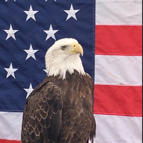 Visit trinagus's profile on GETTR. View their posts, photos, videos, and connect with them on the social platform.