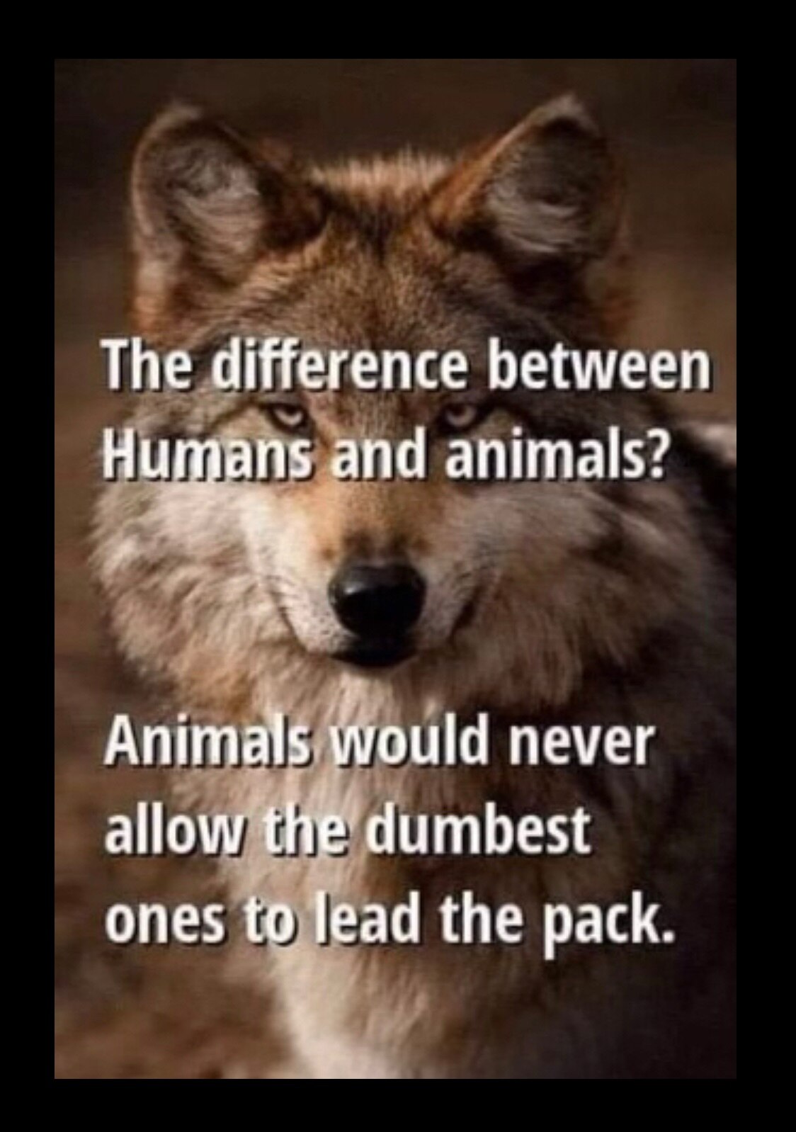  Wanted: STRONG LEADERS