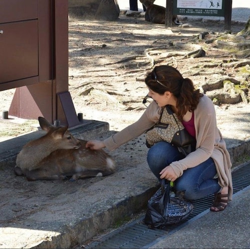 Huge thank you to @CryptoGuppy for this awesomely informative video! It starts with Pfizer CEO Alber...