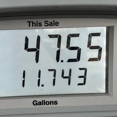 Visit Fritsch's profile on GETTR. View their posts, photos, videos, and connect with them on the social platform.