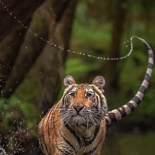 Married, Conservative