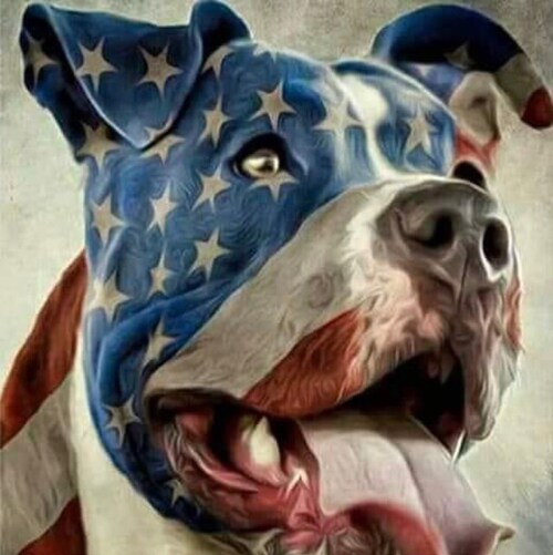 Mom, Grandma, Patriot, CHRIST is KING!!