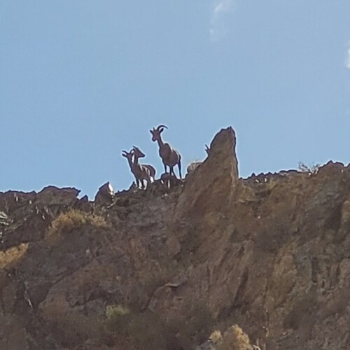 USN(Ret)/GMCS. 7th Fleet
Responsibility is paramount=Due Diligence. Our government/agencies are as corrupt as any 3rd wo...