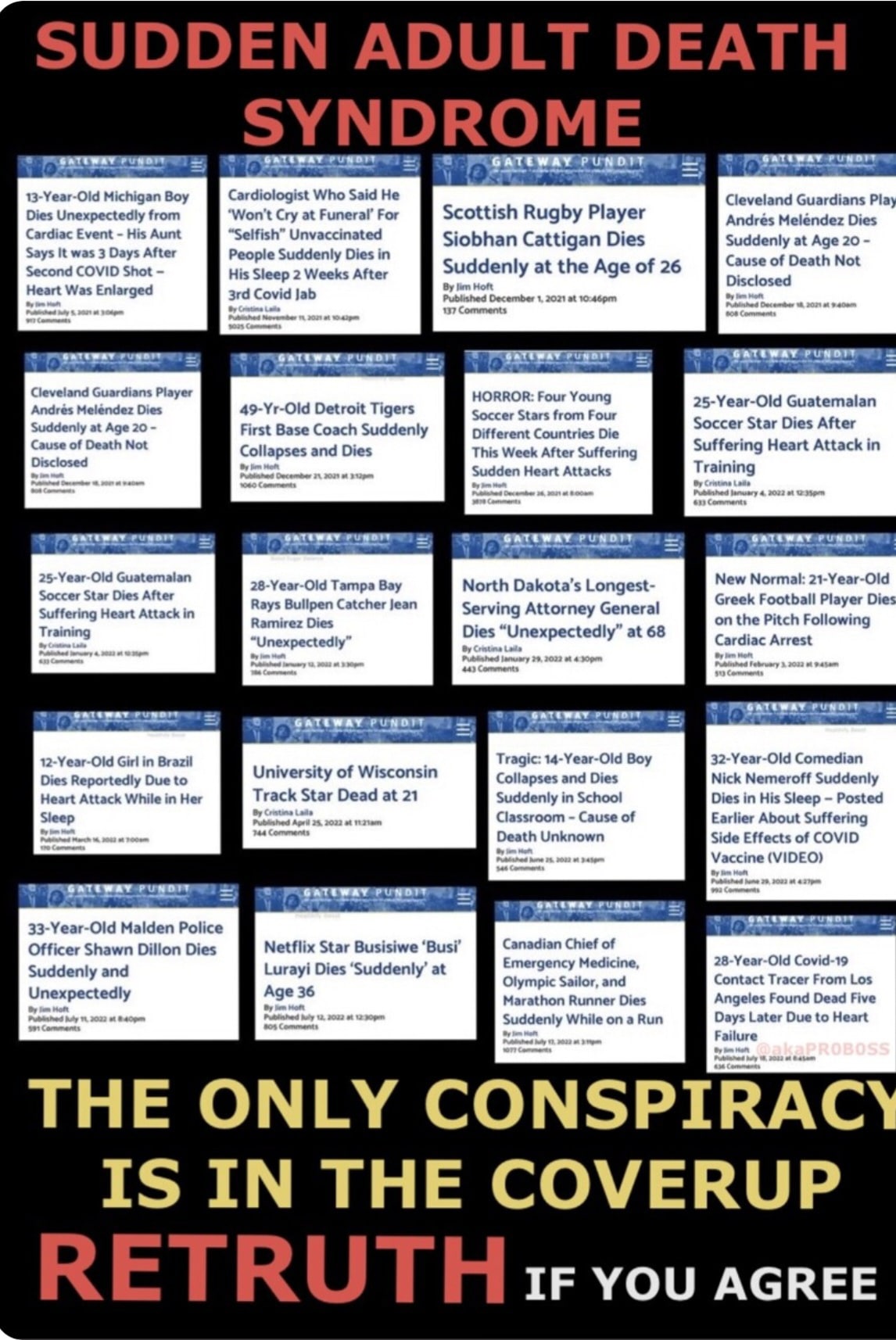 It’s called Vaccine murder in English. Wake up. Please share 🙏 Enough of this. 🤯🤬