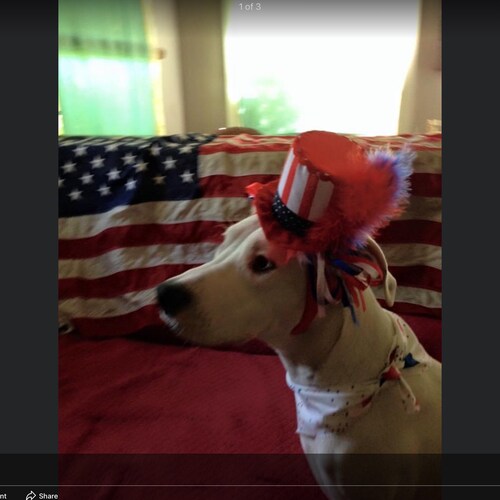 Visit silverbullet23 🍊's profile on GETTR. View their posts, photos, videos, and connect with them on the social platform.