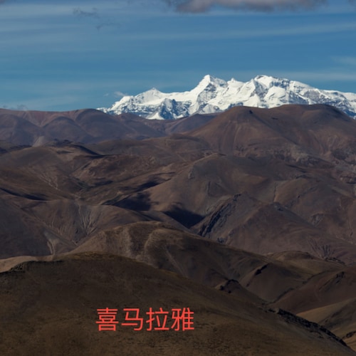 如果有证据，请直接说“岛哥配合检方”，不要让不明真相的战友去猜，我猜你行不行？
