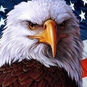 37M ARREST RECORDS, 55K CRIME STORIES, SEARCH FOR FREE. FIGHTING FOR AMERICAN VALUES AND OUR GOD GIVEN FREEDOMS, AMERICA...