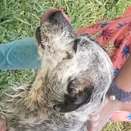 Why are we always reacting to what the left does? Why are we always two or more steps behind? Is it the Rinos?

Do all...