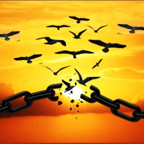 Truth-seeking, Freedom-loving & God-fearing Conservative