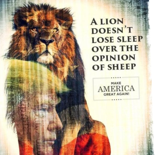 Conservative Woman For Trump!!