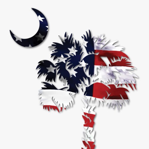 Freedom Loving, 2A, 1A, America Lover!