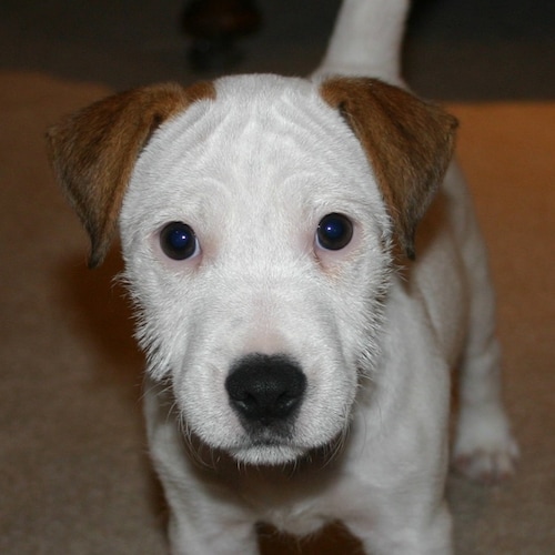 #PresidentTrump2024
#AmericaFirst
#Trump45, 46 & 47
#UltraMaga
#ProLife #ProtectTheUnborn
#DoNotConsent