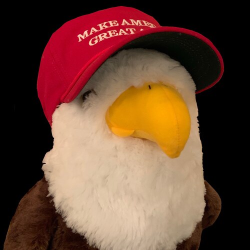 Patriot 🇺🇸🇺🇸🇺🇸  -  Behind enemy lines.  MAGA