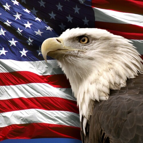 Third Generation American Born & Raised! Baby Boomer, Conservative, Small Business Owner. Now Retired from NJ to GA! God...