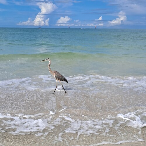 Georgia girl wanting fair and free elections.