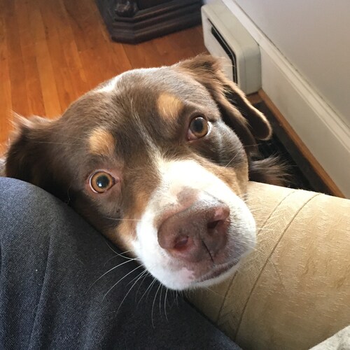 Husdand, Father, and Son of the God of Israel, Saved by the Blood of Jesus Christ