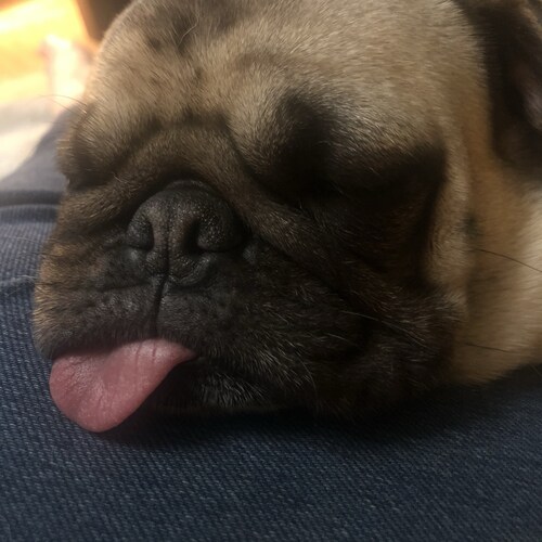 Just a patriotic mamma that loves her family, her country and her God!