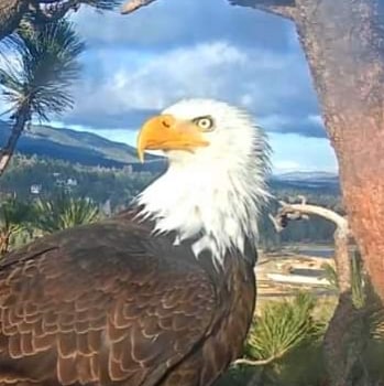 Conservative America loving Veteran. 🇺🇲🦅🇺🇲