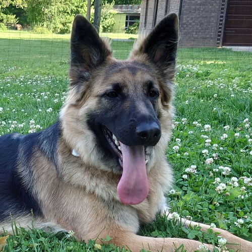 Avid participant of the Covid-19 "vaccine" control group.