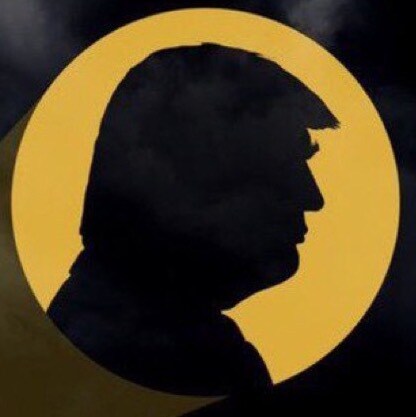 We are electing DJT in November 2024. #MAGA