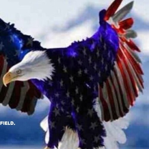 Proud Conservative 🇺🇸 Dan Bongino Disciple