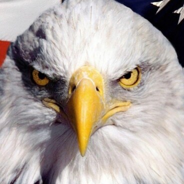 🍊 Constitutionalist. 
For God & Country.
9/11 Volunteer Responder
America First