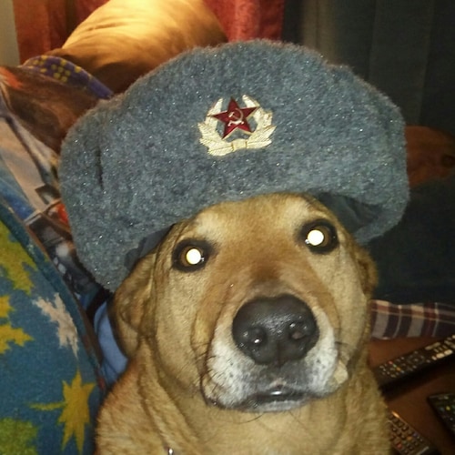 The day they make HCQ and Ivermectin available to the peasants is the day this pandemic ends.