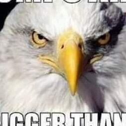 Live Free or Die /  I Use This Platform to Exercise my 1st Amendment Right to Free Speech.  Don't Tread On Me!