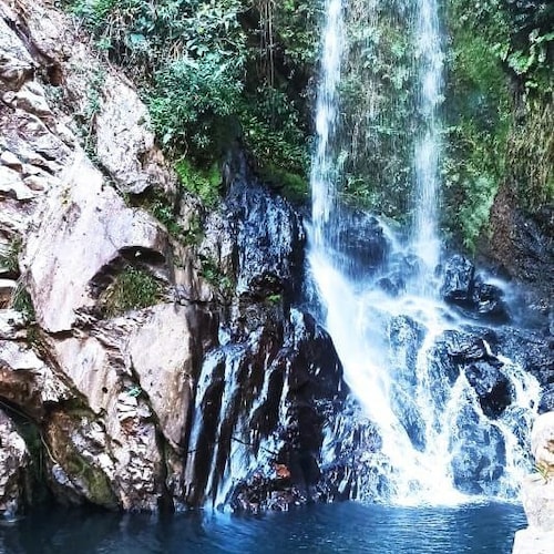 Visit Euz Zinha's profile on GETTR. View their posts, photos, videos, and connect with them on the social platform.