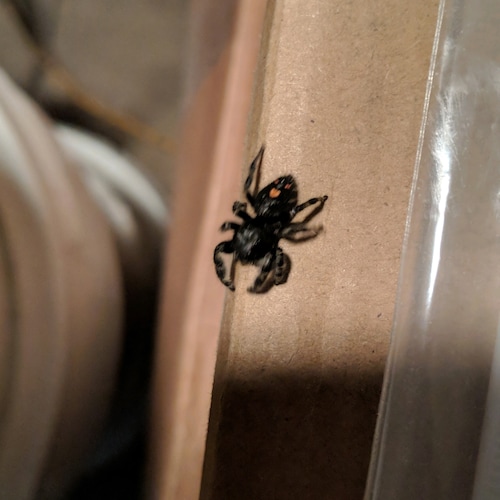 Visit grford's profile on GETTR. View their posts, photos, videos, and connect with them on the social platform.