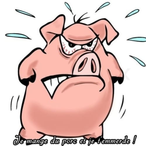 Occupez vous des votres, plutôt que de penser aux autres  !!!  🇨🇵🐷🍻