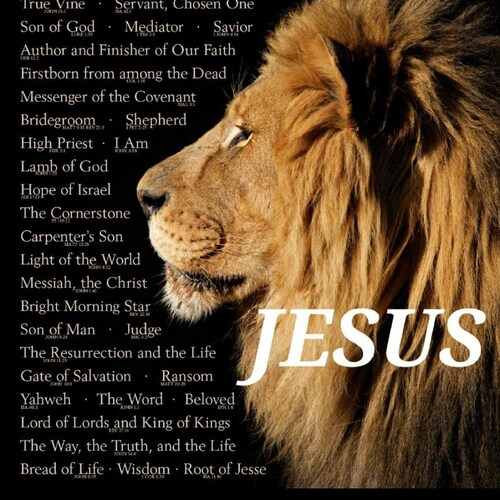 Christian ✝️ Patriot🇺🇸proud American, wife, mother, child of God. Jesus is my Lord and Savior, my only way to Salvation...Trump Won 2020. Let's Go Brandon