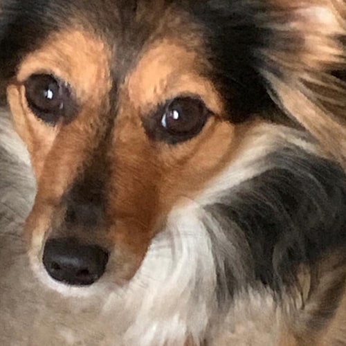 Willkommen im falschen Film