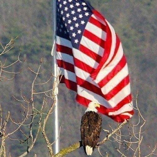 Support all who wear or wore uniforms!Love all critters!