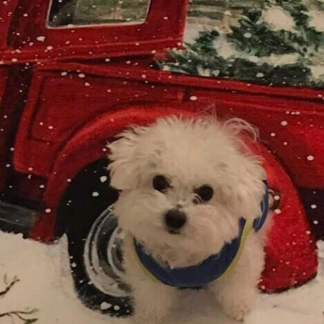 Visit julia224's profile on GETTR. View their posts, photos, videos, and connect with them on the social platform.