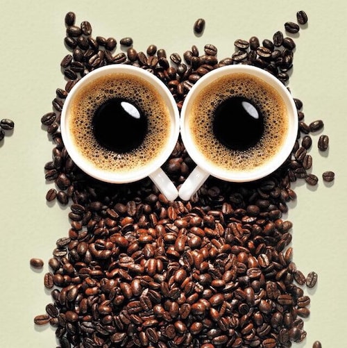 Visit 郑州裕达's profile on GETTR. View their posts, photos, videos, and connect with them on the social platform.