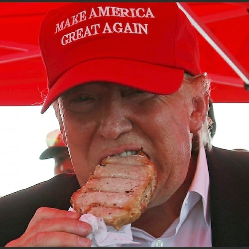 Anti-Mask, Anti-Vaccine, & Anti-Mandate PUREBLOOD PATRIOT! 🇺🇸
 👉 TRUMP  WON 👈
LET'S GO BRANDON! 👏
 💪 ULTRA  MAGA  ...