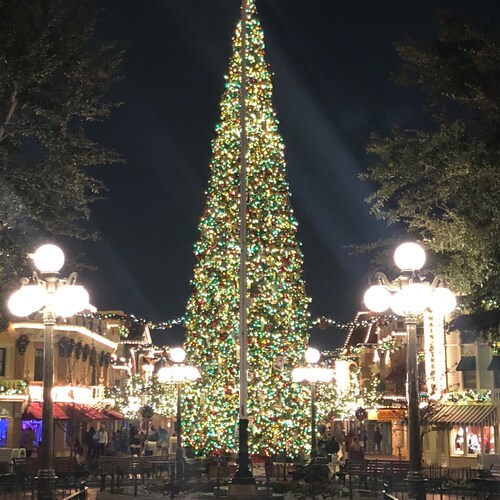 just a conservative teacher in CA!