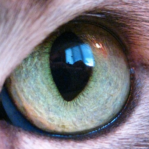 Fed up with all the leftist bullshit